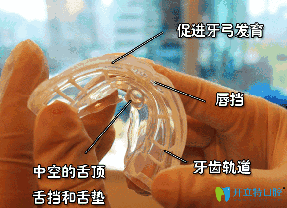 牙頜畸形牙齒矯正器 牙頜畸形牙齒矯正器