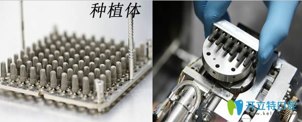 國產(chǎn)種植體和進(jìn)口種植體展示圖