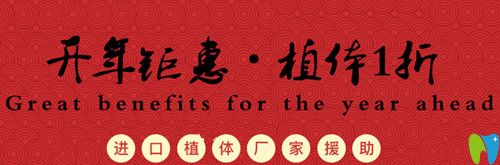 杭州美萊口腔開年鉅惠，植體1折種僅限前50名欲報(bào)從速哦！