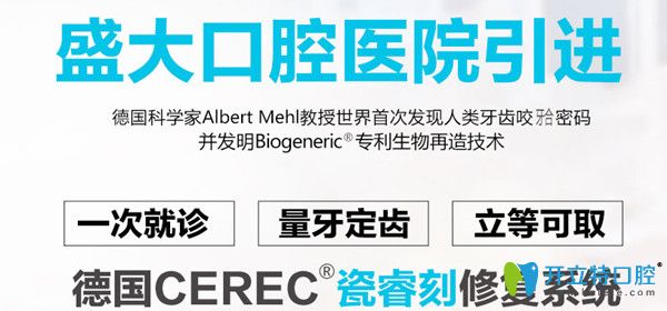 德國瓷?？绦迯?fù)系統(tǒng)