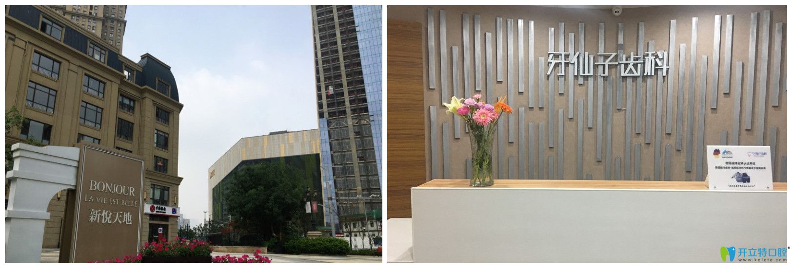 <!--<i data=20240703-sp></i>-->口腔前臺