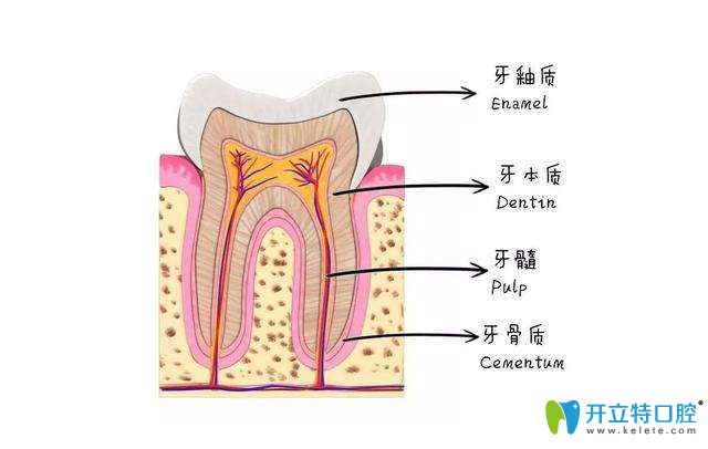 蛀牙不疼的話要補嗎?必須補且看情況需要根管治療或拔掉