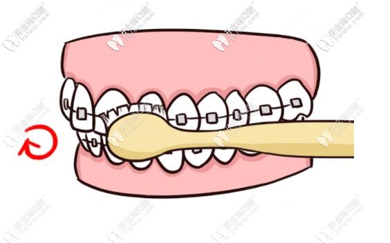 每個牙齒都要刷到