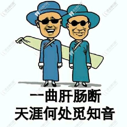 傲嬌的品牌，呆萌的價格