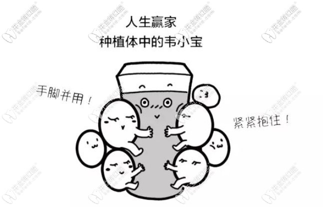 美國(guó)zimmer種植體優(yōu)勢(shì)多多