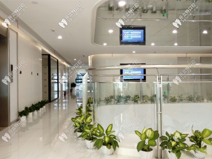 二樓的整體面貌