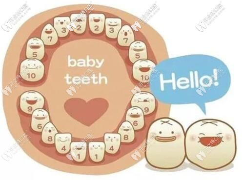 兒童有齙牙看牙掛兒科還是牙科千萬別選錯了