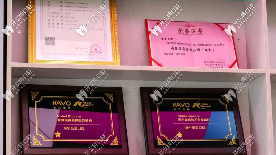 所獲得的榮譽(yù)