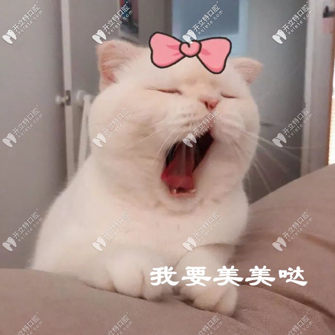 就問你我可不可愛 就問你我可不可愛