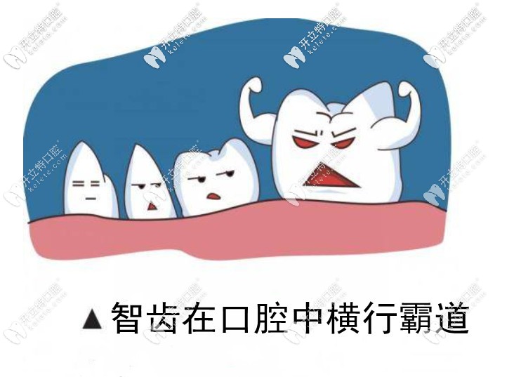 修復(fù)美白項目