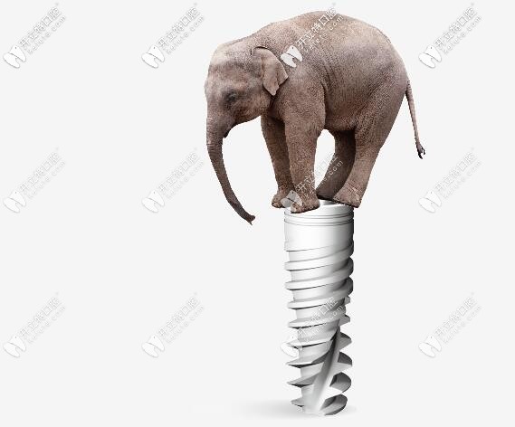 種植體的承受力