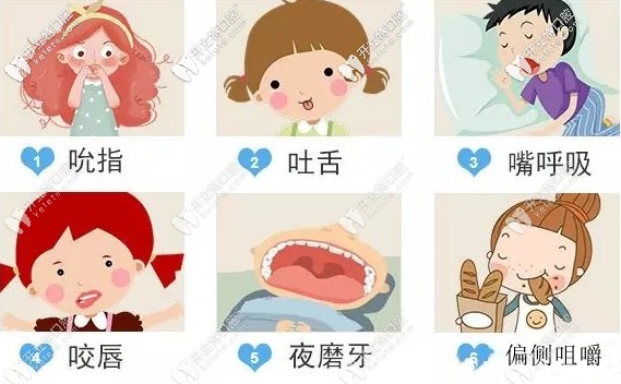 羅慕咬合矯正器多少錢一套？用過的來點(diǎn)評(píng)下價(jià)格和效果