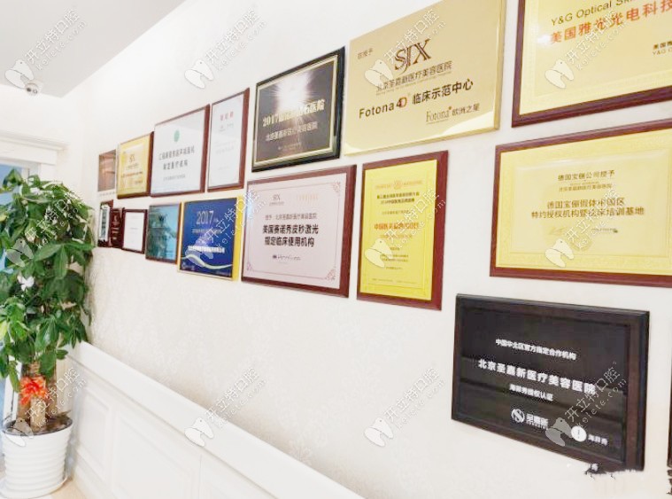 北京圣嘉新所榮獲榮譽(yù)牌匾