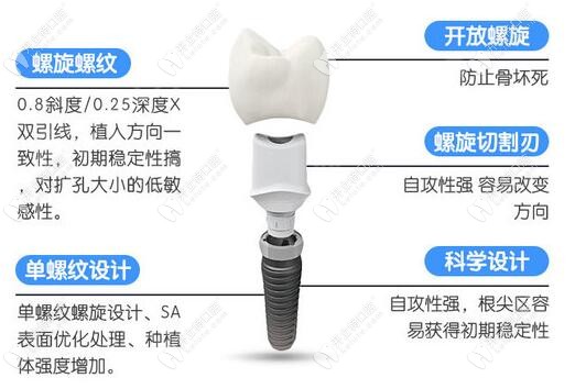 皓圣種植體的結(jié)構(gòu)形成